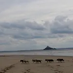 Vila Les Saisonnieres 18 Personnes Avec Piscine Céaux