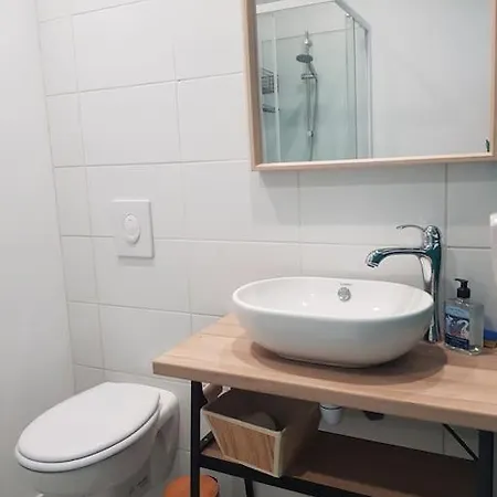 Les Saisonnieres 18 Personnes Avec Piscine * Céaux