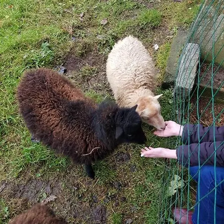 Vila Les Saisonnieres 18 Personnes Avec Piscine