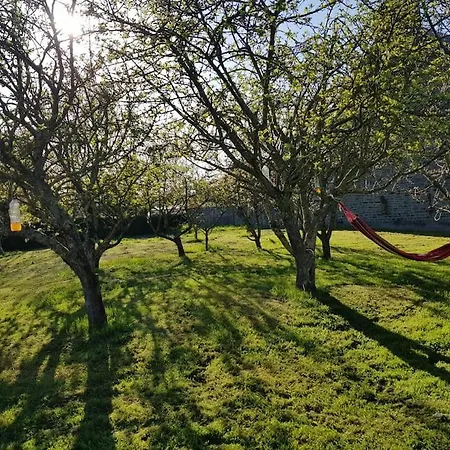 Les Saisonnieres 18 Personnes Avec Piscine *