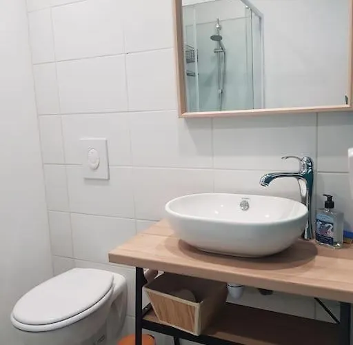 Les Saisonnières 18 Personnes Avec Piscine * Céaux