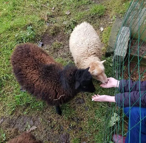 Villa Les Saisonnières 18 Personnes Avec Piscine