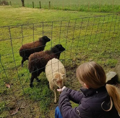 Les Saisonnières 18 Personnes Avec Piscine