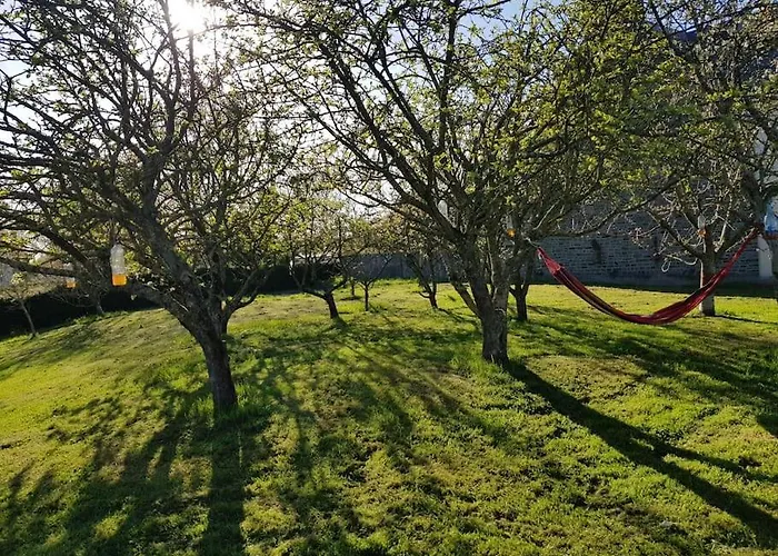 Les Saisonnières 18 Personnes Avec Piscine *
